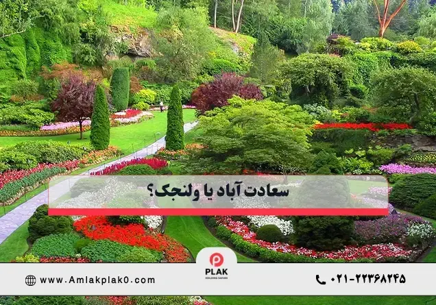 فضای سبز و زیبایی بصری