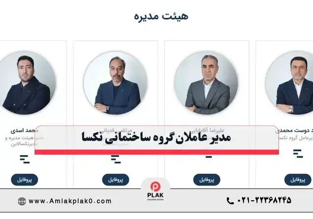 مدیر عامل شرکت نکسا